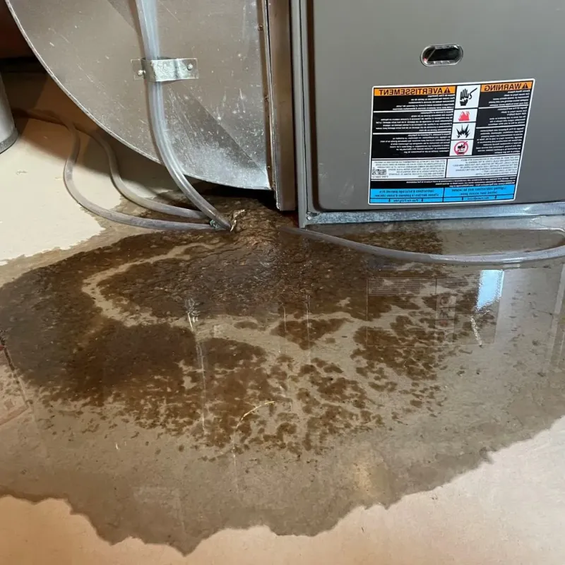 Pipe Burst and Leak Restoration in Barbourmeade, KY